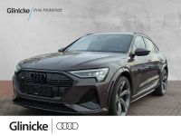 Audi e-tron - Vorschau Bild 1