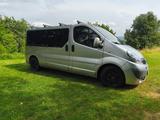 Opel Vivaro - gebrauchte Opel Vivaro aus dem Jahr 2010