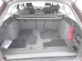 Skoda Octavia Combi Scout 4x4 Bi-Xenon AHK DAB GRA Nav - Skoda Octavia: Allradantrieb, Scout