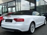 Audi S5 Cabriolet 3.0 TFSI quattro | S Sportsitze - Audi S5: Cabrio