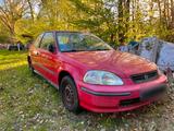 Honda civic 1.4 i S Automatik an Bastler - Honda aus 1994