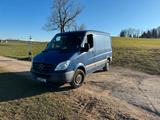 Mercedes-Benz Sprinter 316 CDI  - Mercedes-Benz Sprinter aus 2011: Van