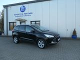 Ford Kuga Sync Edition // 2.Hd., Temp., Sitzh., Allw. - Ford Kuga in Hamburg