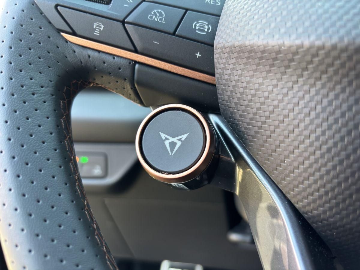 Cupra Terramar - Bild 24