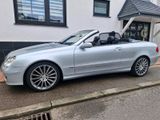 Mercedes-Benz mercedes CLK W 209 Cabrio 200 Kompressor - Mercedes-Benz: Clk W209