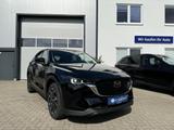 Mazda CX-5 194PS EXCLUSIVE-LINE LEDER   PANO VOLL - Mazda CX-5 in Rostock