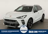 Cupra Terramar 1.5 eTSI DSG, AHK, HuD, el. Klappe, Nav - Cupra Terramar Tageszulassungen
