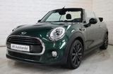 MINI COOPER Cabrio LED Xenon Navi T-Leder Chili - MINI Cooper Cabrio Gebrauchtwagen