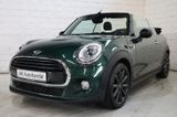 MINI COOPER Cabrio Cooper,Xenon,Navi,Teilleder - MINI MINI: Grün