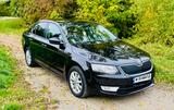 Skoda Škoda Octavia 2.0 TDI Ambition 150 PS 