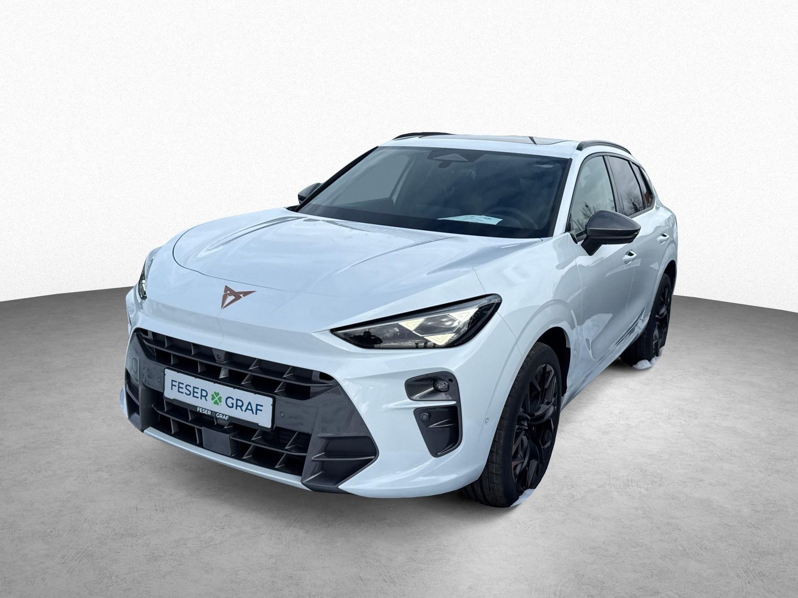 Cupra Terramar - Bild 15