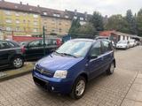 Fiat Panda 1.2 8V Climbing 4X4 TÜV NEU*PANO*WIE NEU - gebrauchte Fiat Panda aus dem Jahr 2009