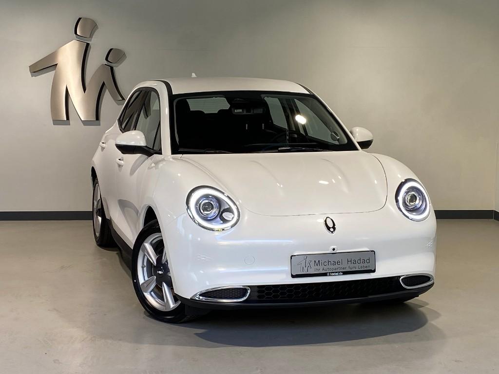 GWM Ora 03 GWM 300 - NAVI LED 1. Hand TO