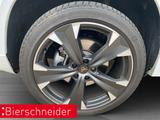 Cupra Ateca 2.0 TSI 4Drive DSG ab 279,- EUR mtl. 1000, - Cupra Ateca Jahreswagen