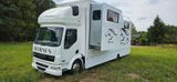 DAF LF -45 180 für 3 Pferde Neue Karosserie