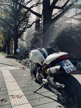 Ducati Monster 696 Weiß | GPR Sportauspuff - Offers