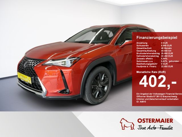 Lexus UX AMAZING EDITION 184PS HYBRID ACC.KAMERA.LED.L