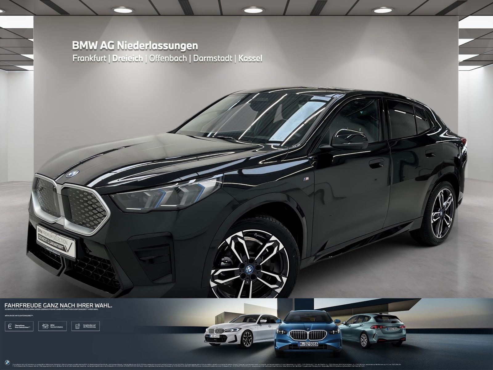 BMW iX2 xDrive30 M Sport AHK Driv.Assist.Prof LED foto 1
