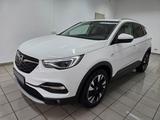 Opel Grandland (X) Dynamic LED Navi 360° Kamera AHK - Opel Grandland (X) in Chemnitz