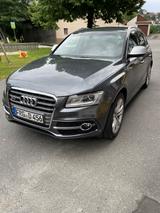 Audi SQ5 3.0 TDI competition tiptronic quattro - - Audi SQ5: TDI