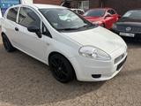 Fiat Punto 1.2 8V LOUNGE - Fiat Punto: 1.2