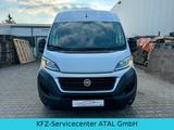 Fiat Ducato "MOTOR NEU" Maxi L4H2 Kastenwagen - Fiat Ducato: Kastenwagen