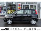 Fiat Panda MY26 Pandina ICON Hybrid 1.0 GSE TEMPOMAT  - Fiat Panda: Schwarz
