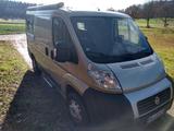Fiat 250 L1H1 - Angebote