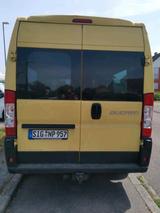 Fiat Ducato 250 Transporter - Fiat: Transporter