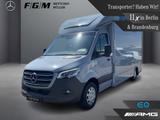 Mercedes-Benz Sprinter 319 CDI Pferdetransporter TEMP|LED