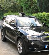 BMW X3 xDrive35i xLine AT xLine - BMW X3: Xdrive35i