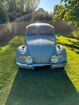 Volkswagen VW Käfer 1500 - Volkswagen: 1500