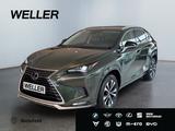 Lexus NX 300h Style Edition *Bi-LED*ACC*Kamera*SHZ*PDC - Lexus: Nx