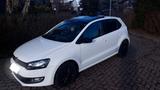 Volkswagen Polo 6r 1.2 TSI  MATCH Edition ... - Volkswagen Polo mit Benzin-Antrieb: Coupe