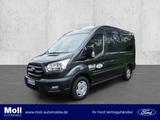 Ford Transit Kombi Trend  350 150PS Auto. L2H2 Klima  - Ford Transit: 150