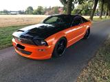Ford Mustang GT Einzelstück - gebrauchte Ford Mustang aus dem Jahr 2006