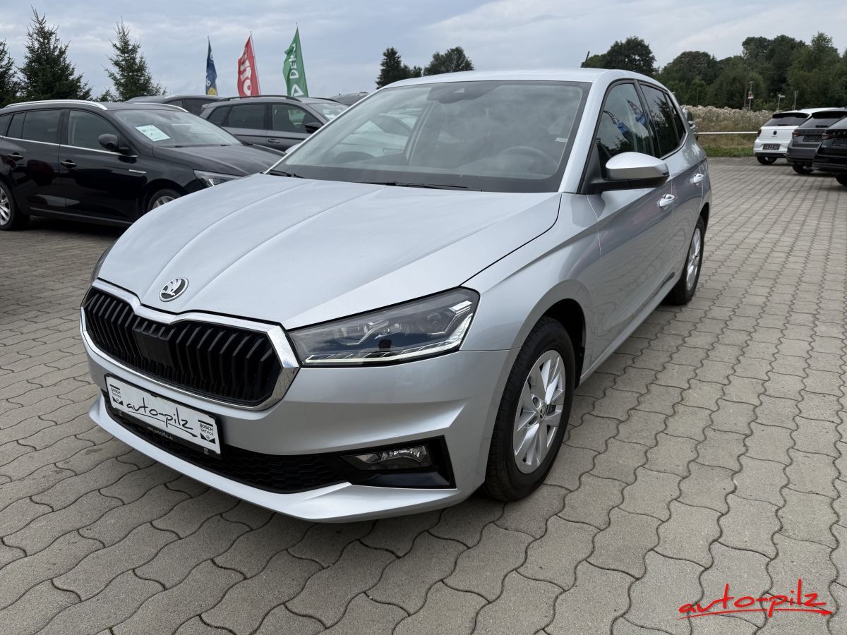 Skoda Fabia Selection DSG 5JGar.100tkm