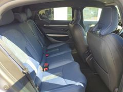Fahrzeugabbildung A 390 GT Driving-Pack Forged Carbon Alcantara D