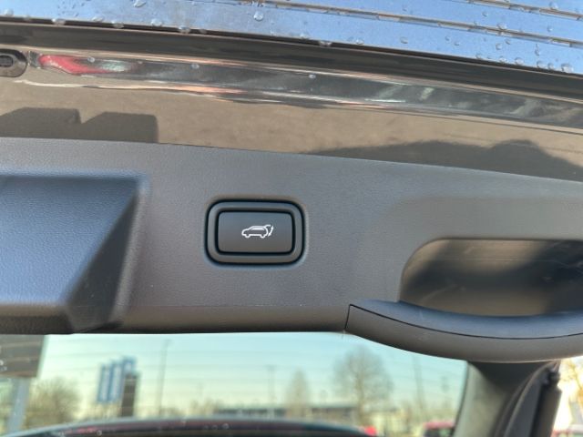 Fahrzeugabbildung Hyundai Tucson MY25 HEV 1.6 T-GDI (215PS) Trend Teillede