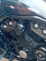 Harley-Davidson Night rod special  - HARLEY-DAVIDSON 2008