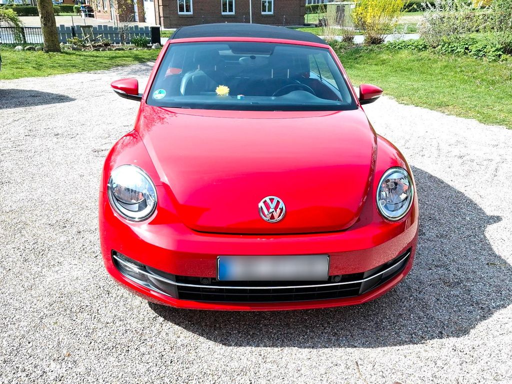 Image of Volkswagen Beetle