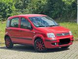 Fiat New Panda 1.2 8V Edizione Magnifica Tüv Neu - Fiat New Panda: Limousine