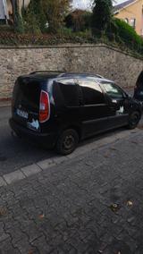 Skoda Roomster Hunde Auto - gebrauchte Skoda Roomster aus dem Jahr 2006