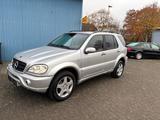 Mercedes-Benz ML 500 ML ML 500 - Mercedes-Benz ML 500 Gebrauchtwagen