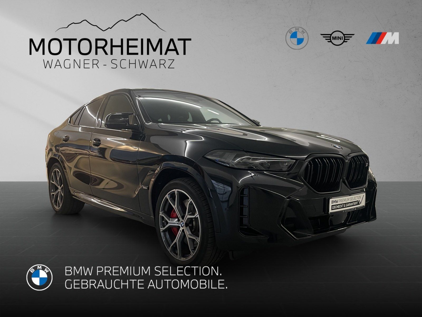 BMW X6 M60 - Bild 5