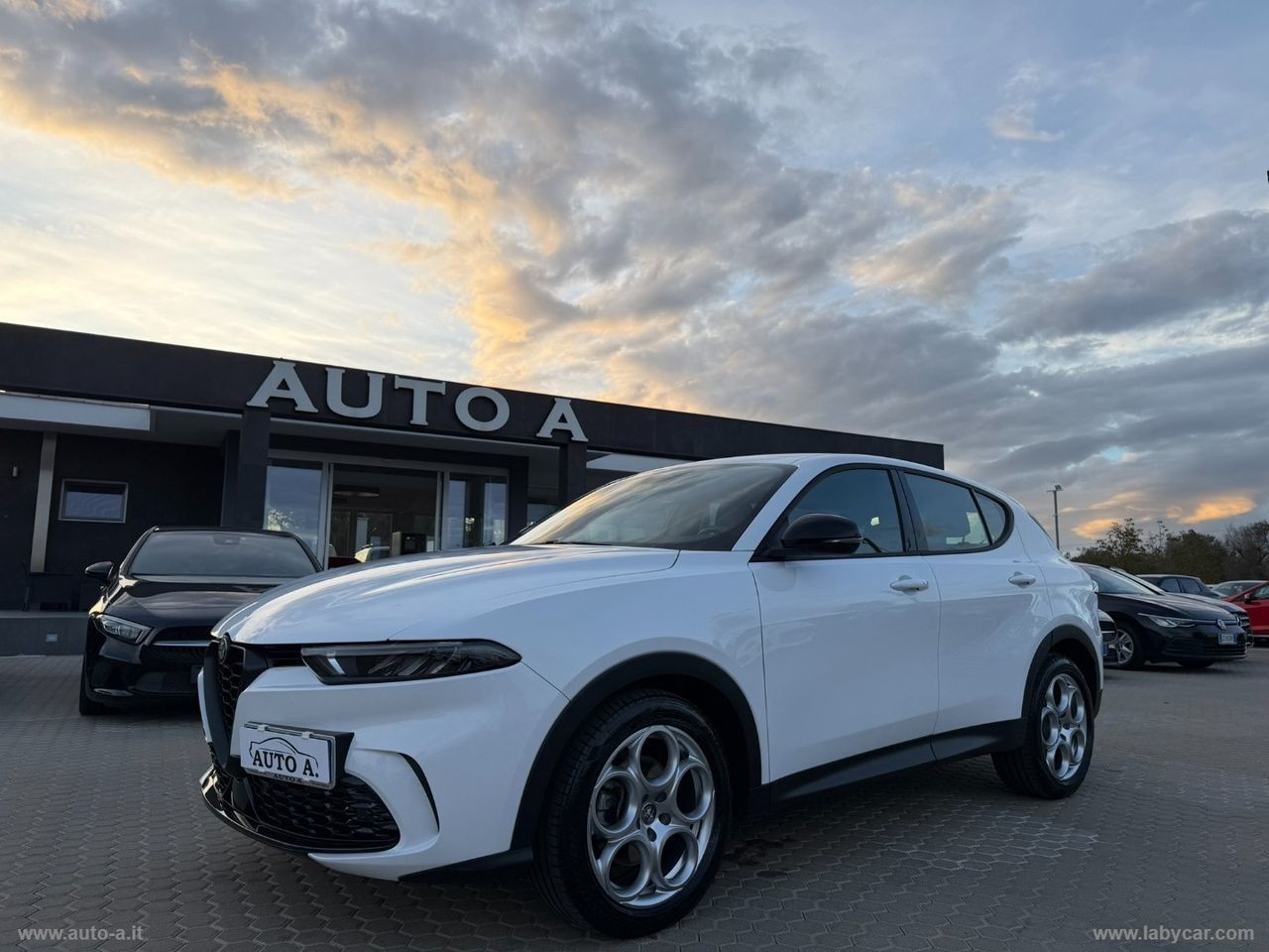 Other ALFA ROMEO Tonale 1.6 diesel 130 CV TCT6 Super