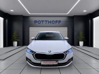 Skoda Octavia - Vorschau Bild 8