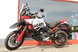 Ducati DesertX Rally viel Zubehör! - DUCATI DESERTX