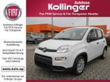Fiat Panda 1.0 M-HYBRID FACELIFT KOMFORT-PAKET - Fiat Panda Tageszulassungen