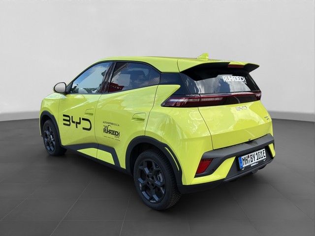 BYD DOLPHIN SURF